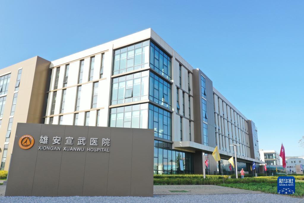 永利yl国际